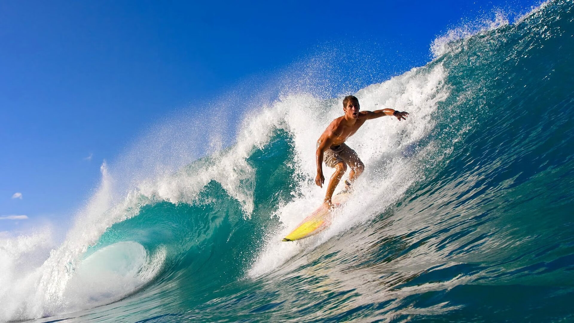 各队的“秘密武器”曝光:复盘冠军又一秘诀,秘密武器特质